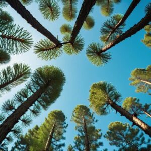 Przycinanie jako część pielęgnacji ogrodu